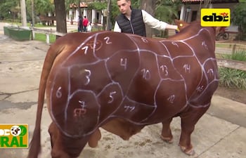 Qué es la tipificación de carne bobina