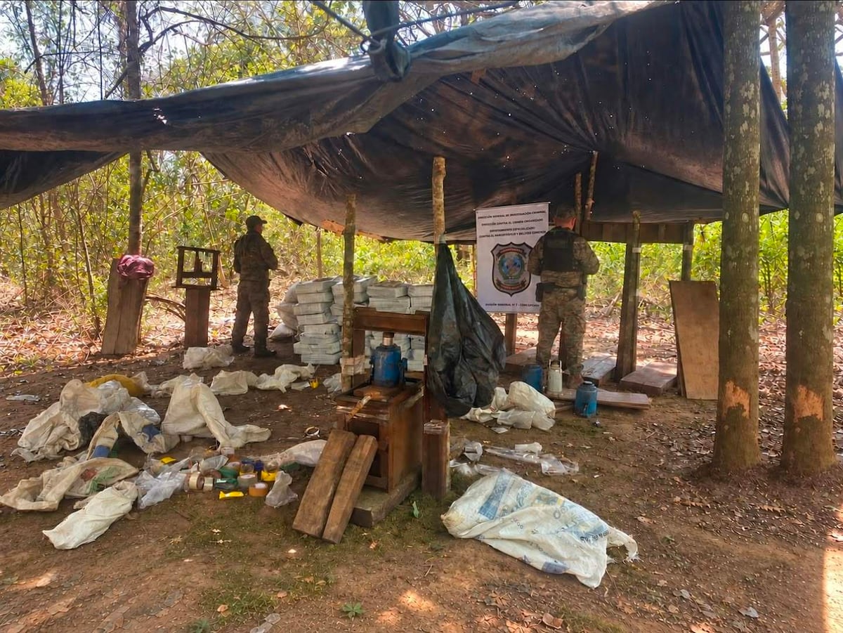 Parque Nacional Paso Bravo: Policía encuentra 471 kilos de marihuana en la reserva natural