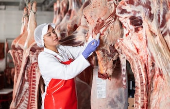 Trabajadora de frigorífico manipulando carne
