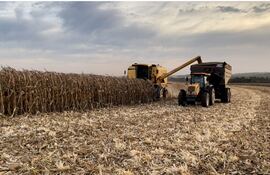 El Inbio viene recomendando a los productores la realización de un monitoreo exhaustivo ante la distribución variable de lluvias.