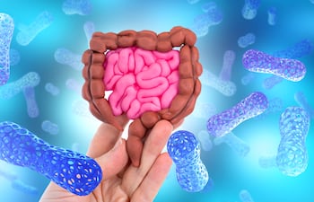 Las características del microbioma intestinal antes de la vacunación podrían ayudar a explicar por qué algunas personas desarrollan fiebre y una respuesta inflamatoria más intensa que otras, según un estudio internacional publicado este jueves.