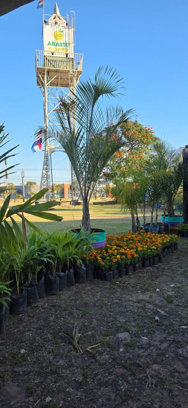 Entorno con torre de vigilancia y bandera paraguaya, rodeado de macetas con plantas y flores naranjas, creando un ambiente sereno.