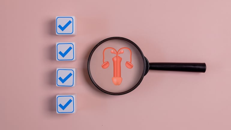 Sistema reproductor masculino, imagen ilustrativa.