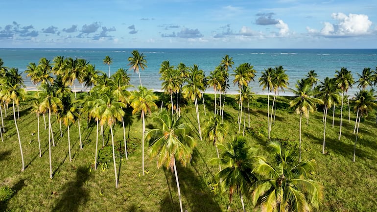 São Miguel dos Milagres, Alagoas, Brasil.