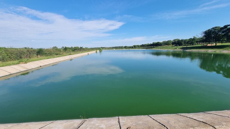 Aguas verdes y olores nauseabundos en la planta cloacal afectan a vecinos.