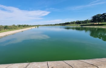 Aguas verdes y olores nauseabundos en la planta cloacal afectan a vecinos.