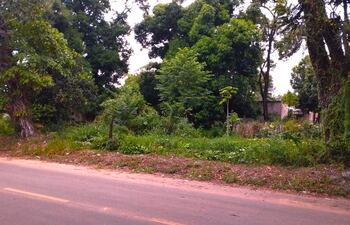 Vecinos del barrio Santo Domingo piden la limpieza de una vivienda abandonada y saturada de malezas.