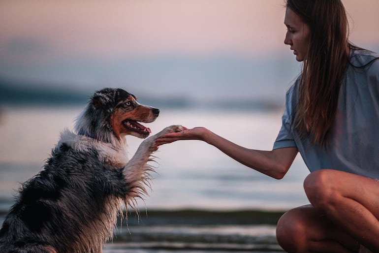 Perro y su humana.