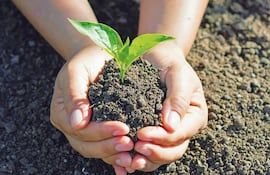 Fertilizantes orgánicos hechos en Paraguay