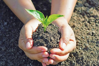 Fertilizantes orgánicos hechos en Paraguay
