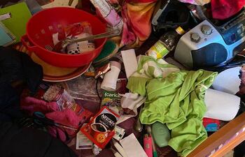 Hasta el momento no se conocen las motivaciones que llevaron a su progenitora a comportarse de esa manera.