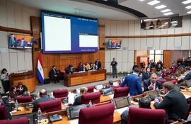 Miembros de la Cámara de Senadores durante una sesión.