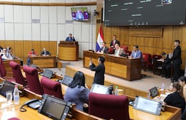 El canciller Rubén Ramírez Lezcano en una reunión conjunta de Relaciones Exteriores y Constitucionales.