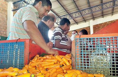 Campesinos indican que la paga por sus productos no compensa los gastos en la finca.