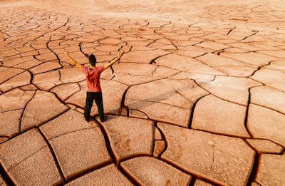 Concepto de sequía y desertificación.