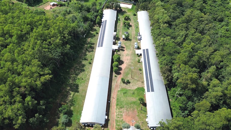 La empresa incorporó energía solar en granjas, planta de balanceados, frigorífico y locales de venta, como parte de su estrategia de eficiencia y sostenibilidad.