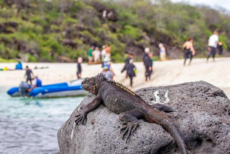 Islas Galápagos, Ecuador.