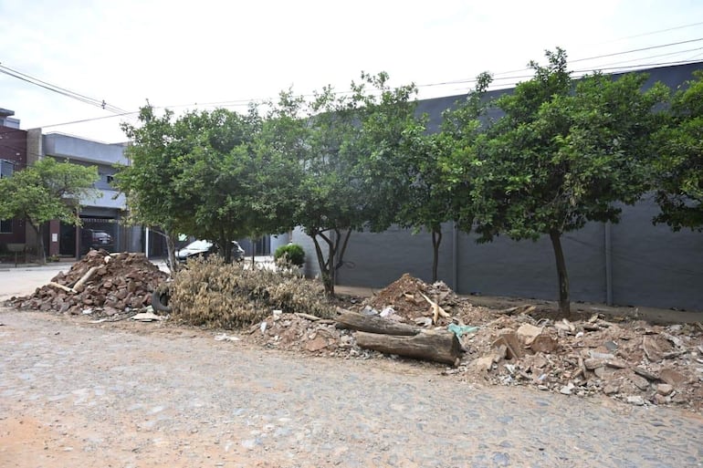 Calle afectada por escombros y árboles, sin personas visibles en un día soleado.