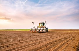 Soja: La resiliencia del productor que desafía al mercado
