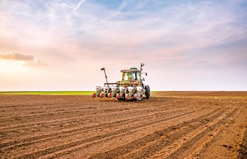 Soja: La resiliencia del productor que desafía al mercado