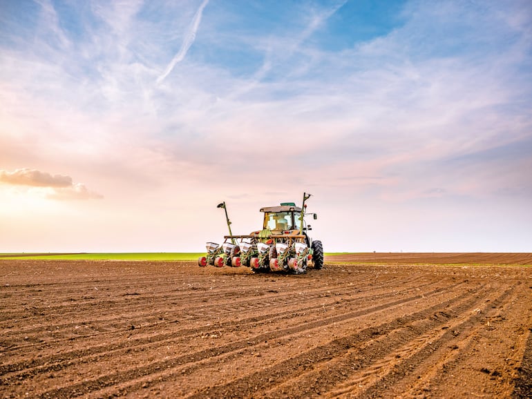 Soja: La resiliencia del productor que desafía al mercado