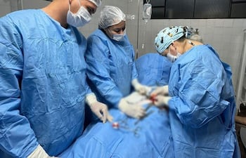 Tres profesionales de la salud, en batas azules y mascarillas, colaboran en una cirugía con instrumentos visibles sobre una mesa.
