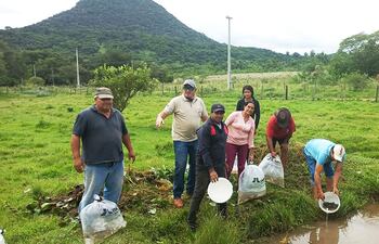 Intensifican cría de peces como alternativa de rubro de autoconsumo y renta en Ybycuí, Quiindy y Mbuyapey.