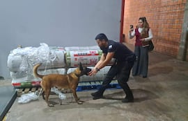 Hombre vestido de negro ofrece un juguete a un perro, mientras una mujer de chaleco rojo observa en un ambiente de almacén.