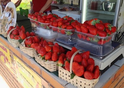 La Expo Frutilla de Ypacaraí atrae a los turistas