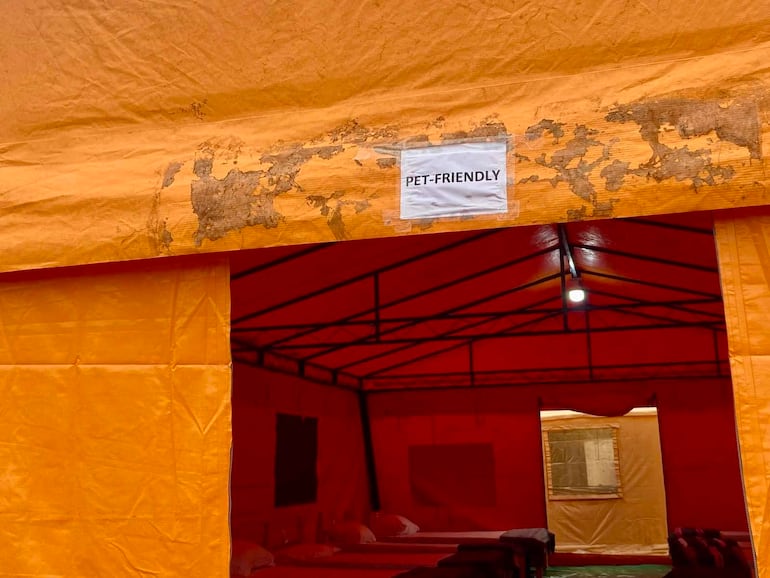 Carpa anaranjada 'PET-FRIENDLY' con colchones dentro, iluminada por foco en el techo, sin personas visibles.