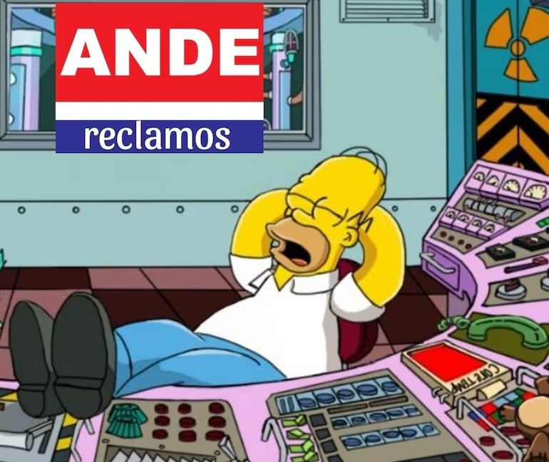 Homero Simpson en la ANDE.