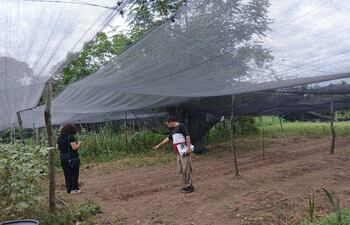 La aplicación de buenas prácticas en huertas escolares y el uso racional del agua fueron los ejes centrales de la capacitación a estudiantes de Yaguarón.
