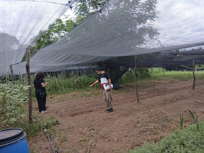 La aplicación de buenas prácticas en huertas escolares y el uso racional del agua fueron los ejes centrales de la capacitación a estudiantes de Yaguarón.