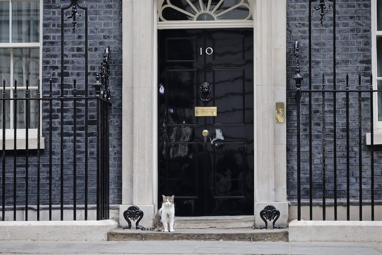 Larry el gato, jefe cazador de ratones de la Oficina del Gabinete, se sienta afuera del número 10 de Downing Street, en Londres, Reino Unido, el 6 de julio de 2022.