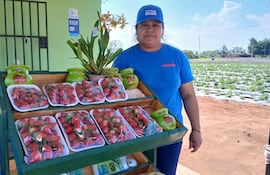Uno de los puestos con ese precio es el de la productora Isabel López, quien comercializa frutillas frescas de la variedad Dover.