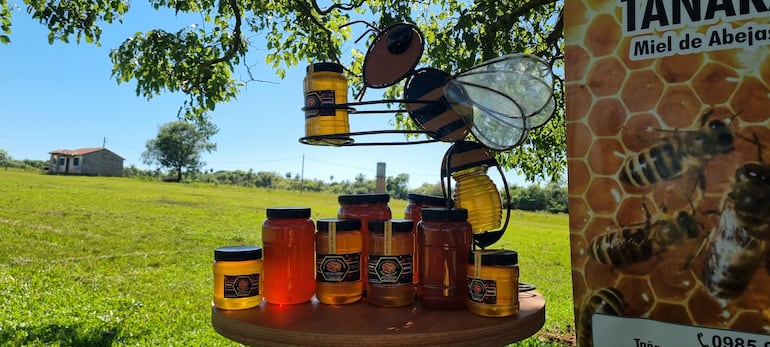 Miel de abeja producción de Pablo Pereira en San Ignacio.