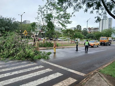 Dos bomberos en uniforme amarillo y un policía dirigen el tráfico mientras retiran un árbol caído en una vía urbana.