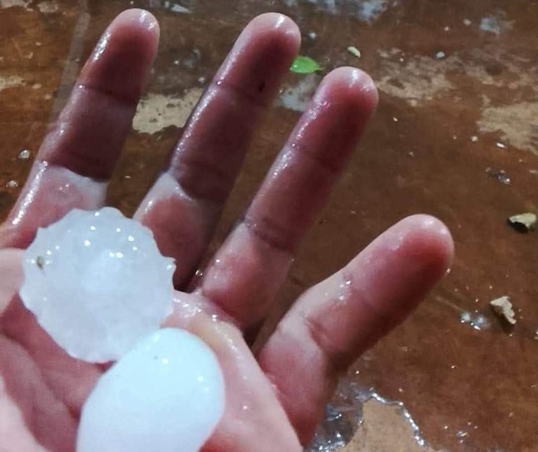 Mano con piedras de granizo, húmeda, en un entorno exterior con restos orgánicos.