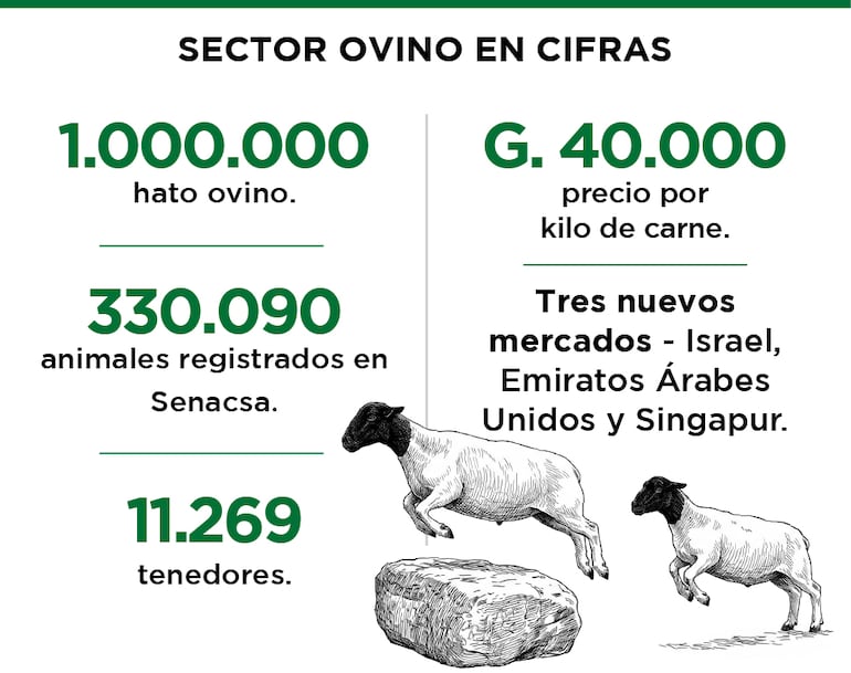 Sector ovino en cifras