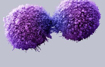 La medicina de precisión puede ser útil para tratar dolencias que no responden a las terapias comúnmente recetadas.