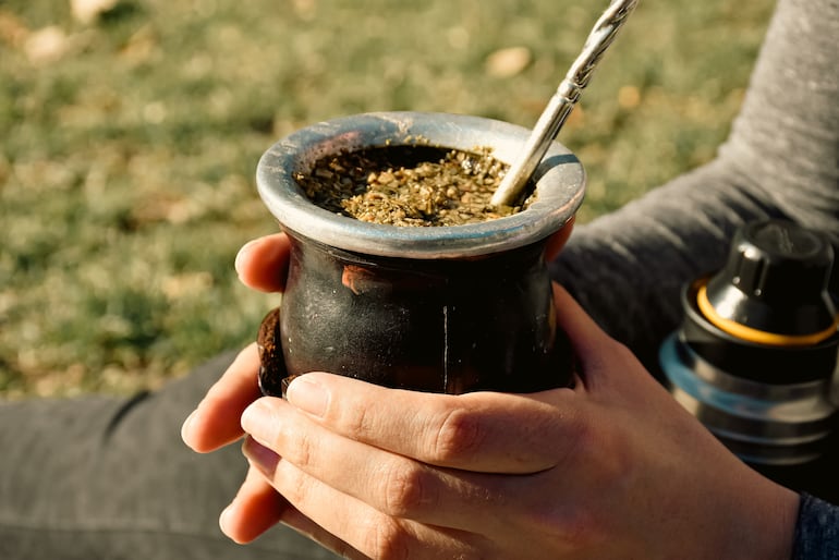 Yerba mate