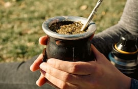 Yerba mate