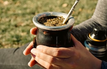 Yerba mate