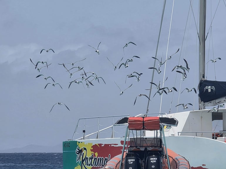 Barco de colores vibrantes encallado, rodeado de aves voladoras y un cielo parcialmente nublado.