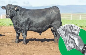 El Rodeo Consignataria SA encara la temporada con optimismo, aunque no descarta la incertidumbre habitual que rodea a cada campaña, sobre todo en el segmento de los toros comerciales.