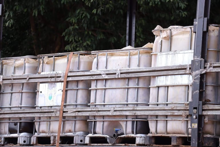 Contenedores plásticos grandes apilados sobre pallets en un entorno con vegetación.