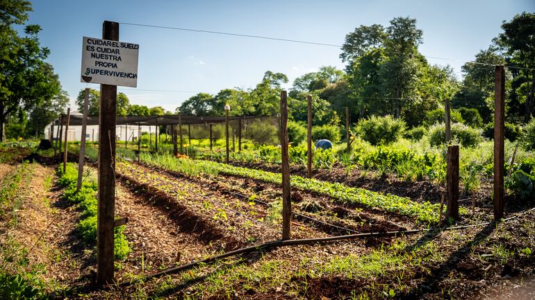 Plantación de hierbas medicinales de las Guardianas del Poha Ñana.