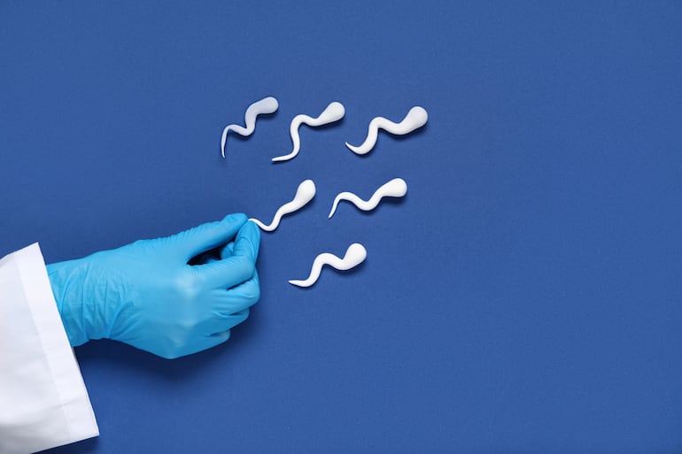 Vivir acelerado y dormir poco no solo afecta el ánimo: también puede alterar hormonas, inflamación y temperatura corporal, variables que influyen en la concentración y movilidad de los espermatozoides.