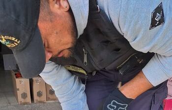 Un oficial de la Gendarmería exhibe uno de los productos falsificados e incautados durante la operación ejecutada esta mañana.