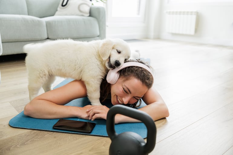 Concepto de "perrhijo".